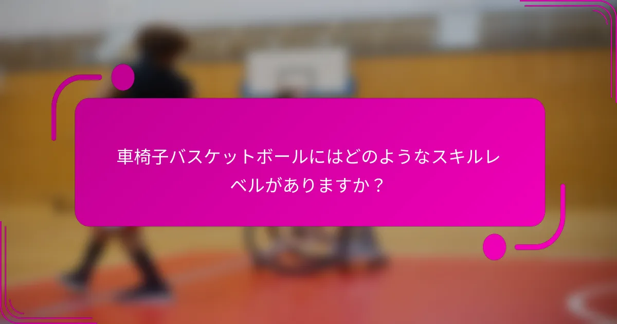 車椅子バスケットボールにはどのようなスキルレベルがありますか？