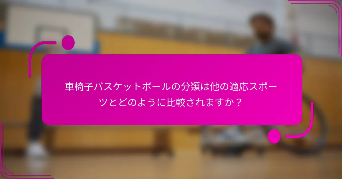 車椅子バスケットボールの分類は他の適応スポーツとどのように比較されますか？