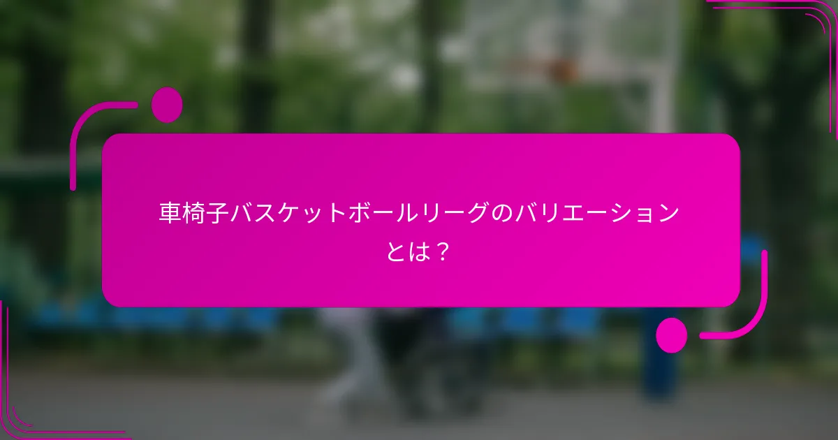 車椅子バスケットボールリーグのバリエーションとは？