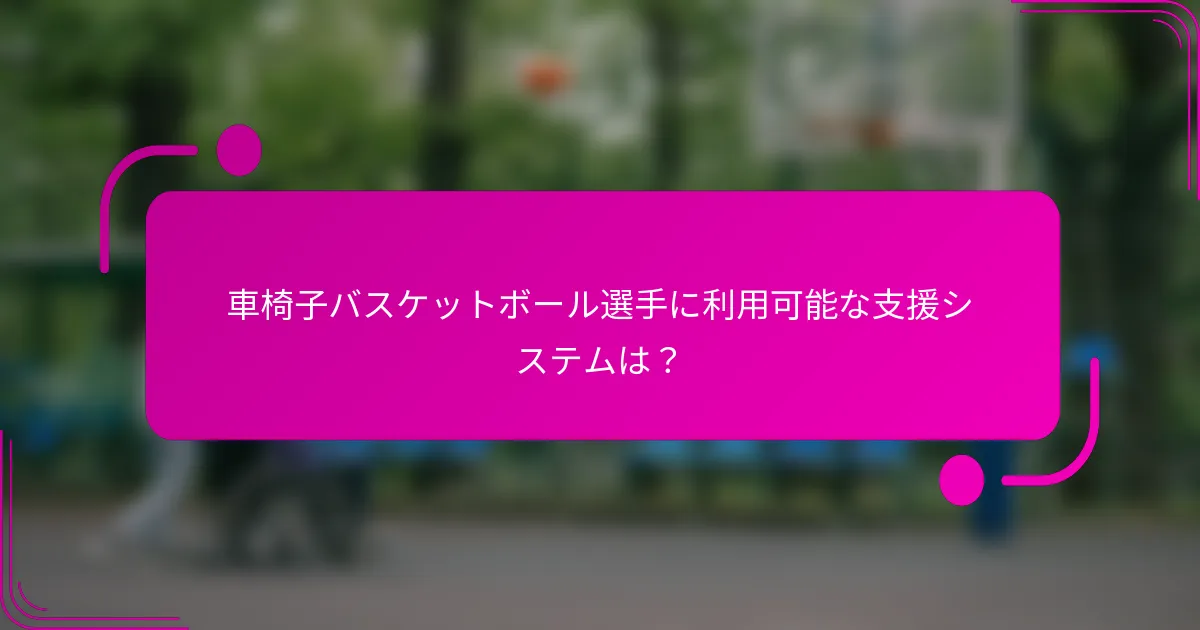 車椅子バスケットボール選手に利用可能な支援システムは？
