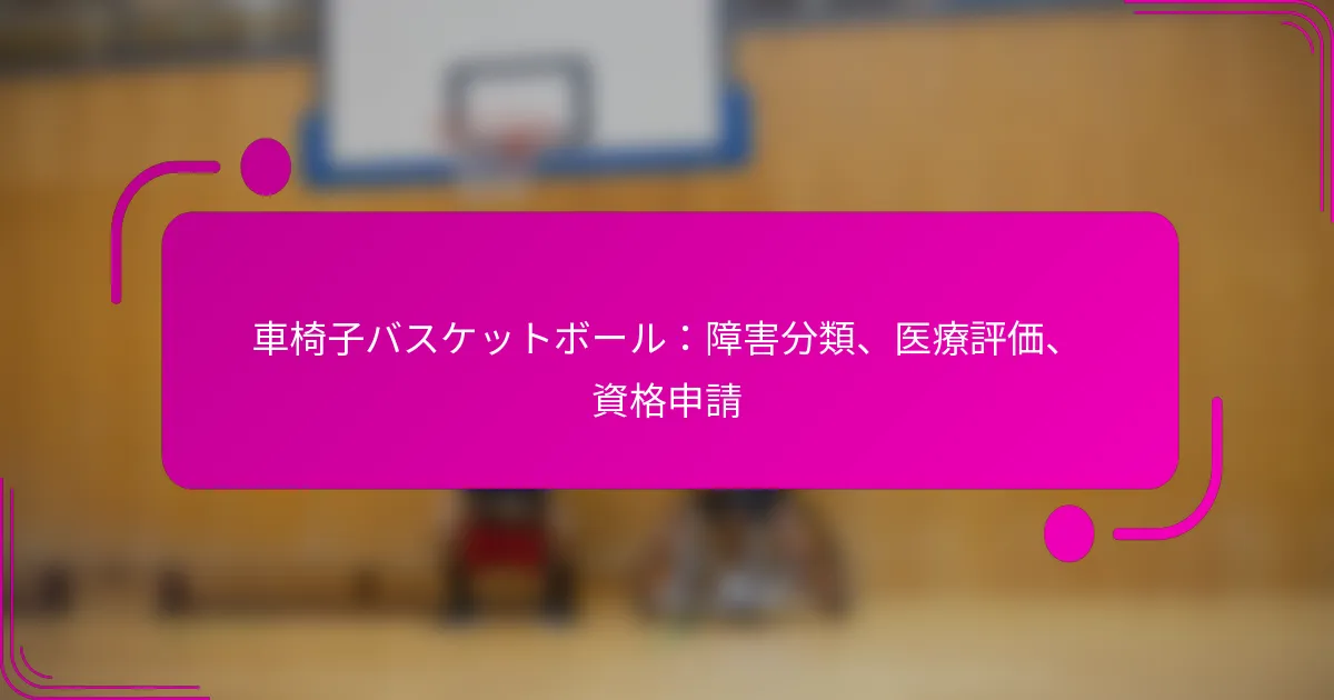 車椅子バスケットボール：障害分類、医療評価、資格申請